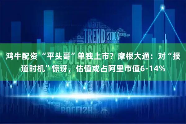 鸿牛配资 “平头哥”单独上市？摩根大通：对“报道时机”惊讶，估值或占阿里市值6-14%