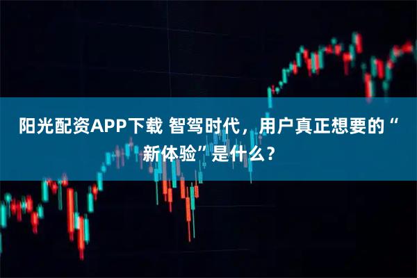 阳光配资APP下载 智驾时代，用户真正想要的“新体验”是什么？