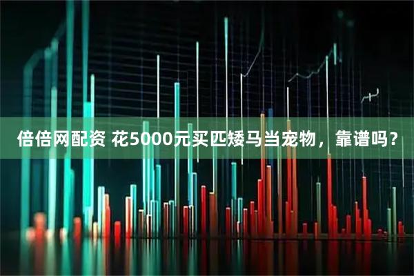 倍倍网配资 花5000元买匹矮马当宠物，靠谱吗？