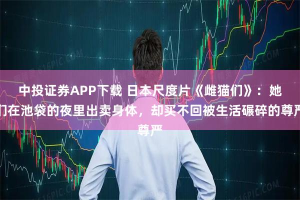 中投证券APP下载 日本尺度片《雌猫们》：她们在池袋的夜里出卖身体，却买不回被生活碾碎的尊严